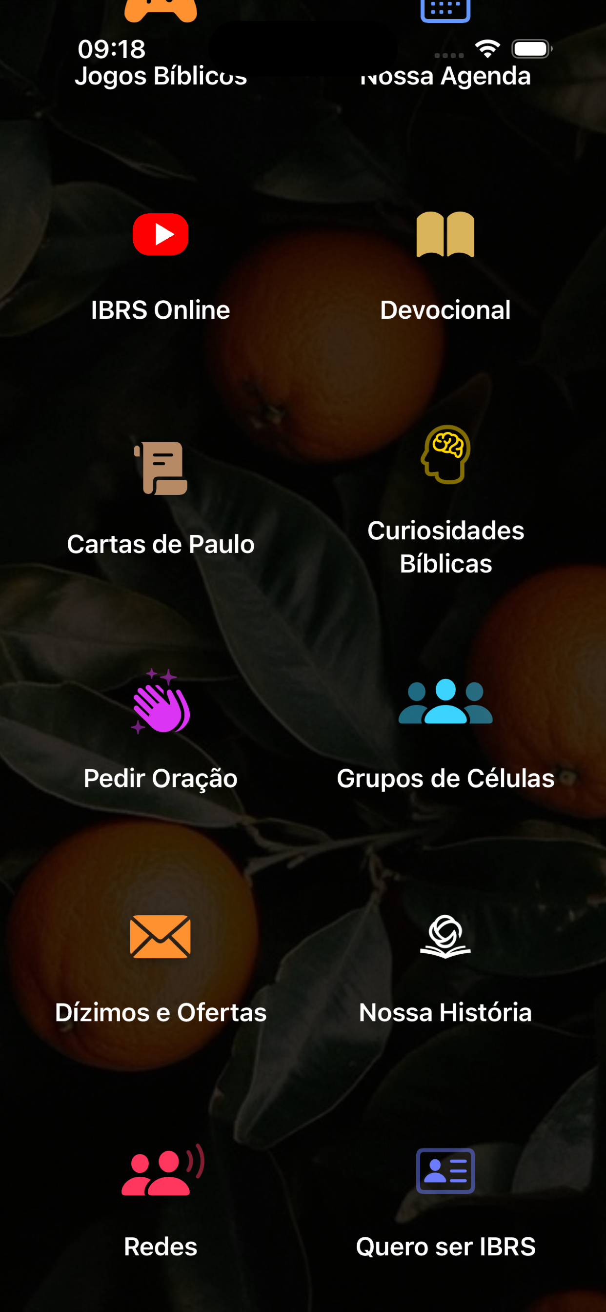 Tela Dízimos e Ofertas do APP IBRS Sede